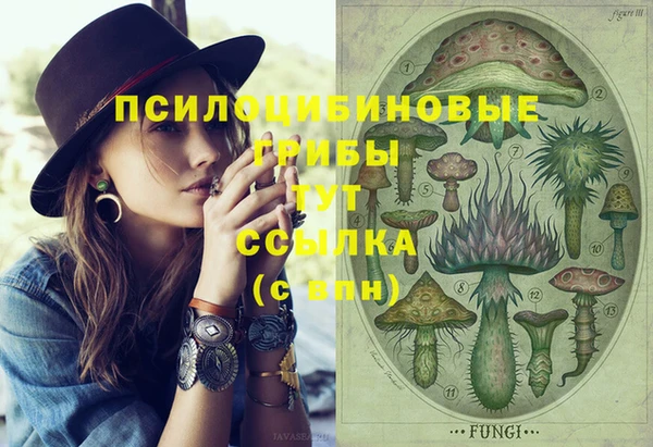 твердый Балахна